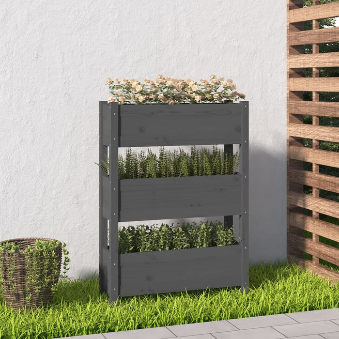 Jardinieră, gri, 77 x 25 x 104,5 cm, lemn masiv de pin - WALTI WALTI