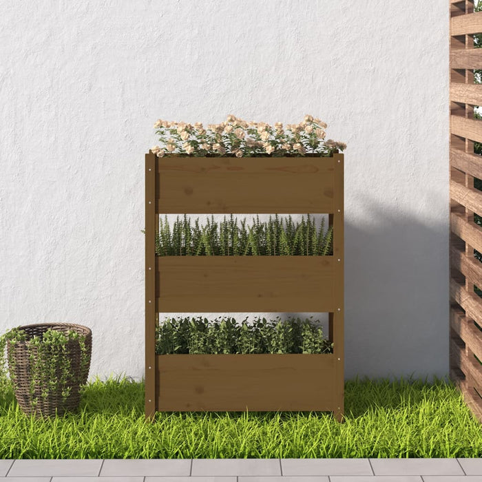 Jardinieră, maro miere, 77 x 25 x 104,5 cm, lemn masiv de pin - WALTI WALTI