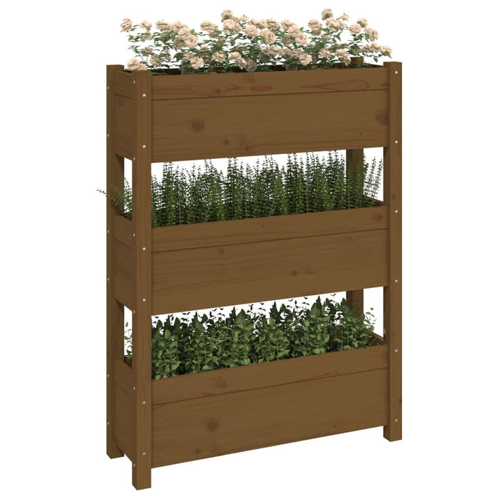 Jardinieră, maro miere, 77 x 25 x 104,5 cm, lemn masiv de pin - WALTI WALTI