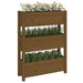 Jardinieră, maro miere, 77 x 25 x 104,5 cm, lemn masiv de pin - WALTI WALTI