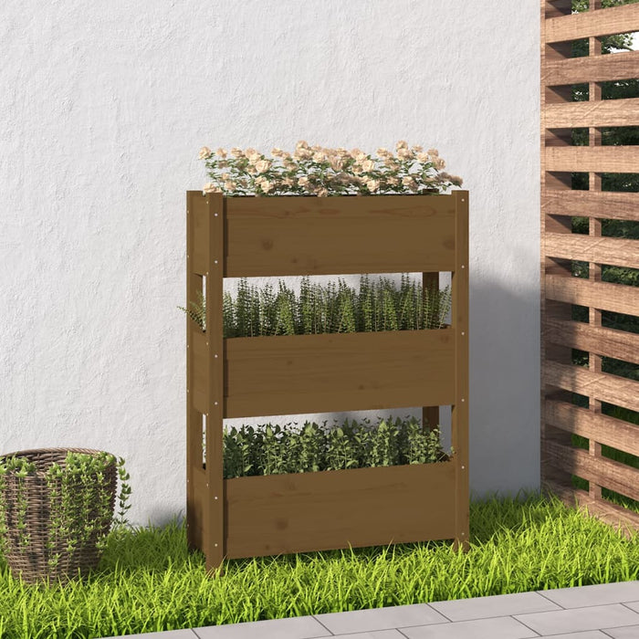 Jardinieră, maro miere, 77 x 25 x 104,5 cm, lemn masiv de pin - WALTI WALTI