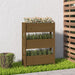 Jardinieră, maro miere, 77 x 25 x 104,5 cm, lemn masiv de pin - WALTI WALTI