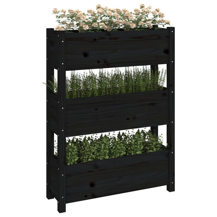 Jardinieră, negru, 77 x 25 x 104,5 cm, lemn masiv de pin - WALTI WALTI