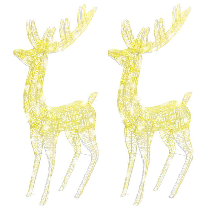 Ren de Crăciun 250 LED-uri, 2 buc., alb cald, 180 cm, acril XXL WALTI