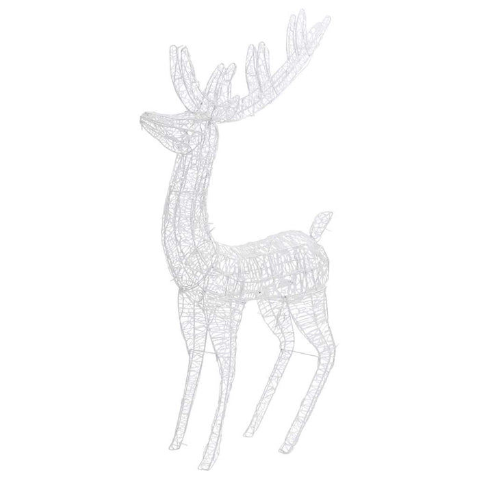 Ren de Crăciun 250 LED-uri, 2 buc., alb cald, 180 cm, acril XXL WALTI