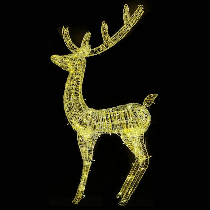 Ren de Crăciun 250 LED-uri, 2 buc., alb cald, 180 cm, acril XXL WALTI