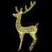  WALTI