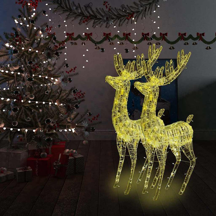Ren de Crăciun 250 LED-uri, 2 buc., alb cald, 180 cm, acril XXL WALTI