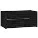 Ladă depozitare grădină, negru, 101x50,5x46,5cm, lemn masiv pin - WALTI WALTI
