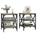 Mese laterale 2 buc. stejar sonoma 40x42x50 cm lemn compozit - WALTI WALTI