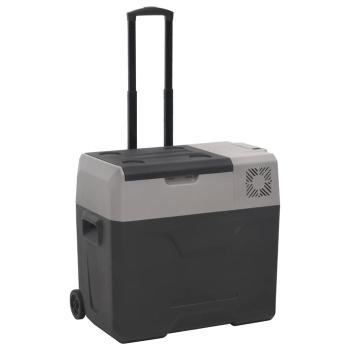 Ladă frigorifică cu roată și mâner 50 L negru/gri polipropilenă - WALTI WALTI