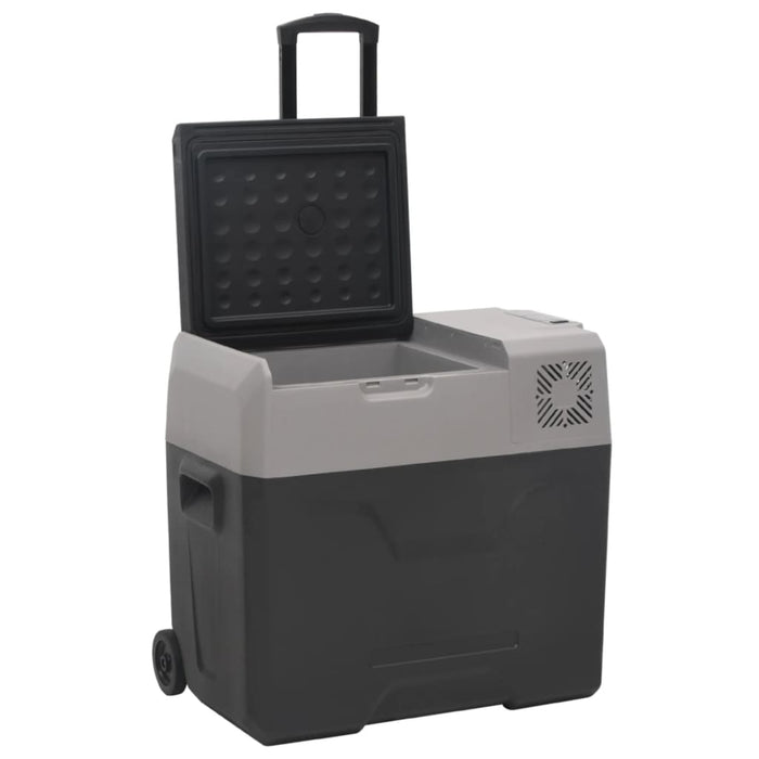 Ladă frigorifică cu roată și mâner 50 L negru/gri polipropilenă - WALTI WALTI