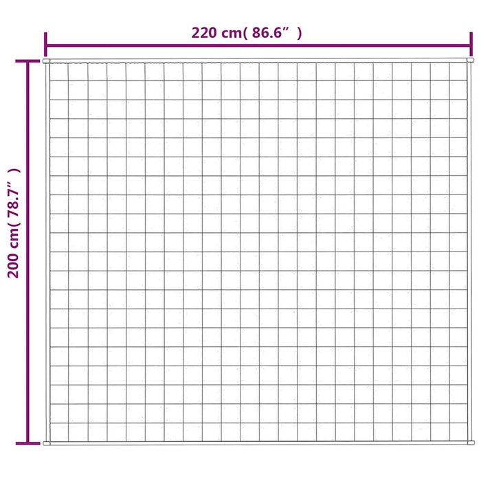Pătură anti-stres, gri, 200x220 cm, 13 kg, material textil - WALTI WALTI