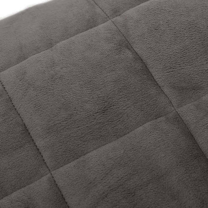 Pătură grea, gri, 122x183 cm, 9 kg, material textil - WALTI WALTI