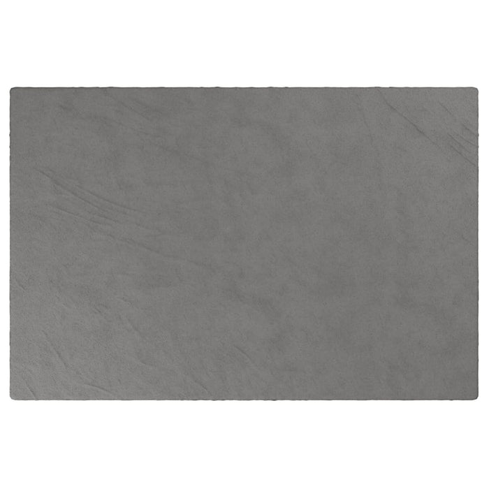 Pătură grea cu husă, gri, 122x183 cm, 5 kg, material textil - WALTI WALTI