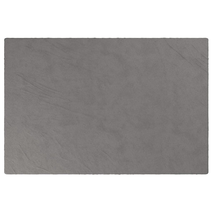 Pătură grea cu husă, gri, 122x183 cm, 9 kg, material textil - WALTI WALTI