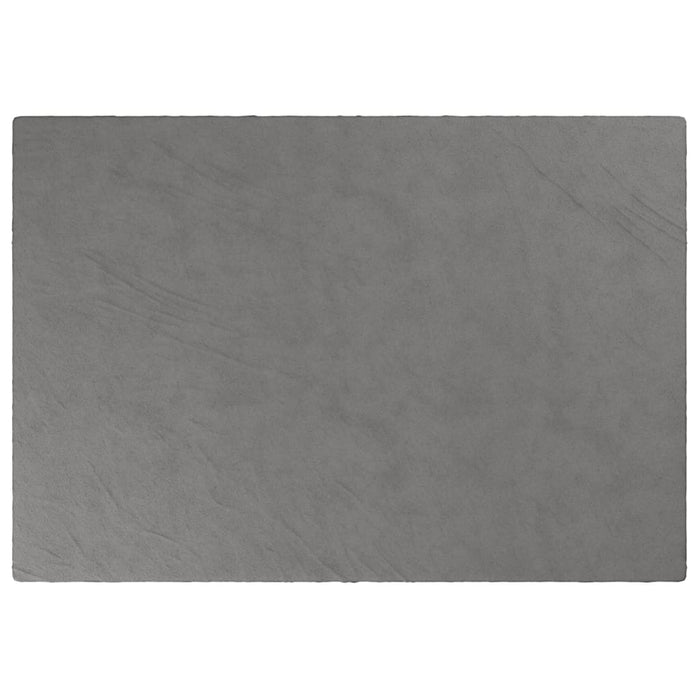 Pătură grea cu husă, gri, 137x200 cm, 10 kg, material textil WALTI