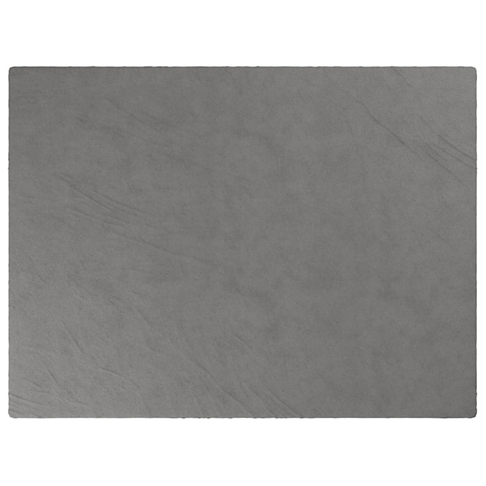Pătură grea cu husă, gri, 152x203 cm, 7 kg, material textil - WALTI WALTI