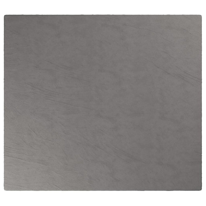 Pătură grea cu husă, gri, 200x220 cm, 9 kg, material textil - WALTI WALTI