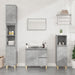 Dulap de baie, gri beton, 65x33x60 cm, lemn prelucrat - WALTI WALTI