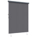 Rulou textil Antracit 200 x 250 cm Țesătură și Aluminiu - WALTI WALTI