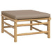 Set mobilier de grădină cu perne gri taupe, 12 piese, bambus - WALTI WALTI