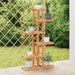 WALTI