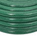 Furtun de grădină cu set de racorduri, verde, 0,75", 30 m, PVC - WALTI WALTI
