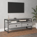 Dulap TV, gri sonoma, 100x35x45 cm, lemn prelucrat - WALTI WALTI