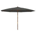 Umbrelă de soare de grădină stâlp din lemn, antracit 400x273 cm - WALTI WALTI