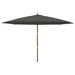 Umbrelă de soare de grădină stâlp din lemn, antracit 400x273 cm - WALTI WALTI