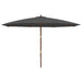 Umbrelă de soare de grădină stâlp din lemn, antracit 400x273 cm - WALTI WALTI