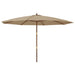 Umbrelă de soare de grădină stâlp din lemn gri taupe 400x273 cm - WALTI WALTI