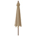 Umbrelă de soare de grădină stâlp din lemn gri taupe 400x273 cm - WALTI WALTI