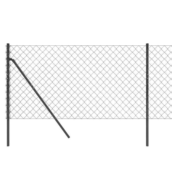 Gard plasă de sârmă, antracit, 1x10 m WALTI