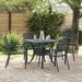 Scaun 4 pcs Antracit 56 x 65 x 89cm Oțel - WALTI WALTI