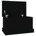 Raft de depozitare, negru, 50x30x28 cm, lemn prelucrat - WALTI WALTI