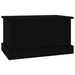 Raft de depozitare, negru, 50x30x28 cm, lemn prelucrat - WALTI WALTI