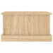 Cutie de depozitare din lemn stratificat, stejar Sonoma, 50x30x28 cm - WALTI WALTI