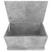 Cutie de depozitare, gri beton, 70x40x38 cm, lemn prelucrat - WALTI WALTI