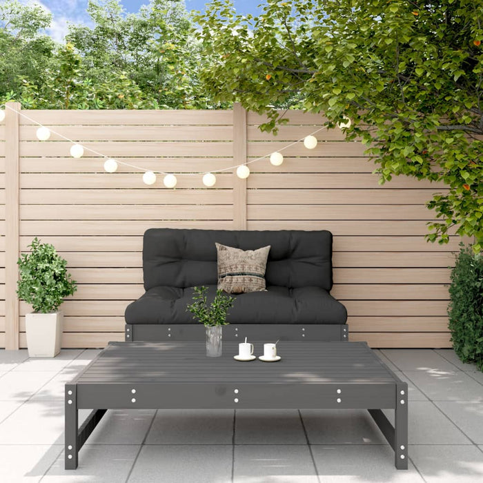 Set mobilier relaxare grădină, 2 piese, gri, lemn masiv de pin - WALTI WALTI