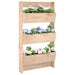 Jardinieră de perete cu 3 niveluri 60x18,5x110 cm lemn pin - WALTI WALTI