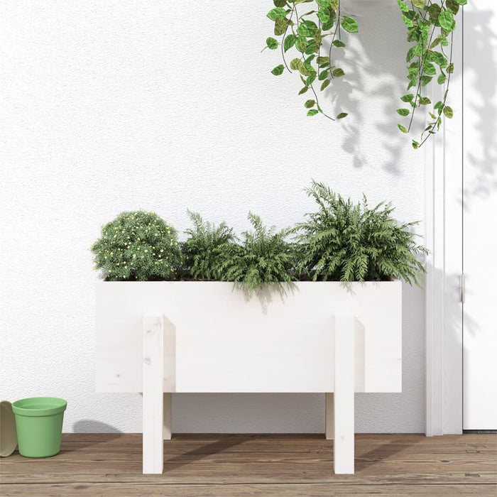Jardinieră de grădină, alb, 62x30x38 cm, lemn masiv de pin - WALTI WALTI