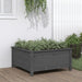 Jardinieră de grădină, gri, 82,5x82,5x39 cm, lemn masiv pin - WALTI WALTI