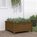 Jardinieră grădină, maro miere, 82,5x82,5x39 cm lemn masiv pin - WALTI WALTI