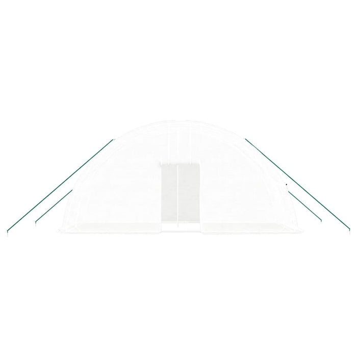 Seră cu cadru din oțel, alb, 12 m², 6x2x2,85 m - WALTI WALTI