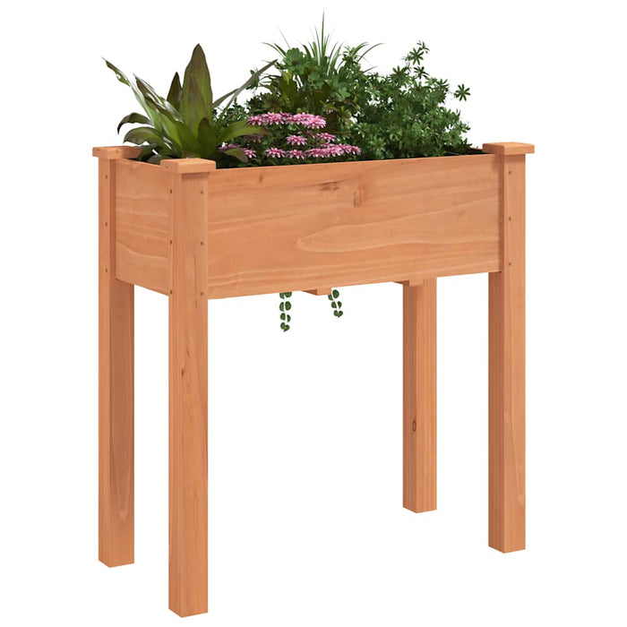 Jardinieră cu căptușeală, maro, 71x37x76 cm, lemn masiv de brad - WALTI WALTI