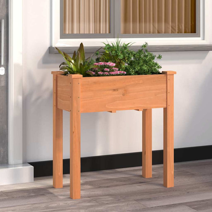 Jardinieră cu căptușeală, maro, 71x37x76 cm, lemn masiv de brad - WALTI WALTI