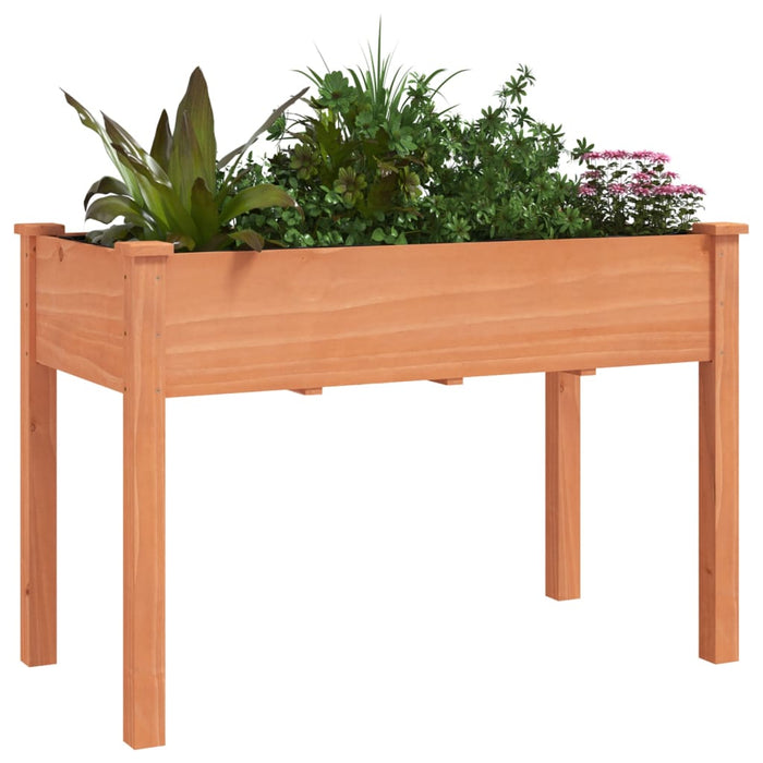 Jardinieră cu căptușeală, maro, 118x59x76 cm, lemn masiv brad - WALTI WALTI
