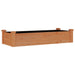 Strat grădină înălțat cu căptușeală maro 120x45x25 cm lemn brad - WALTI WALTI